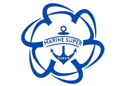 Cleanship Logo
